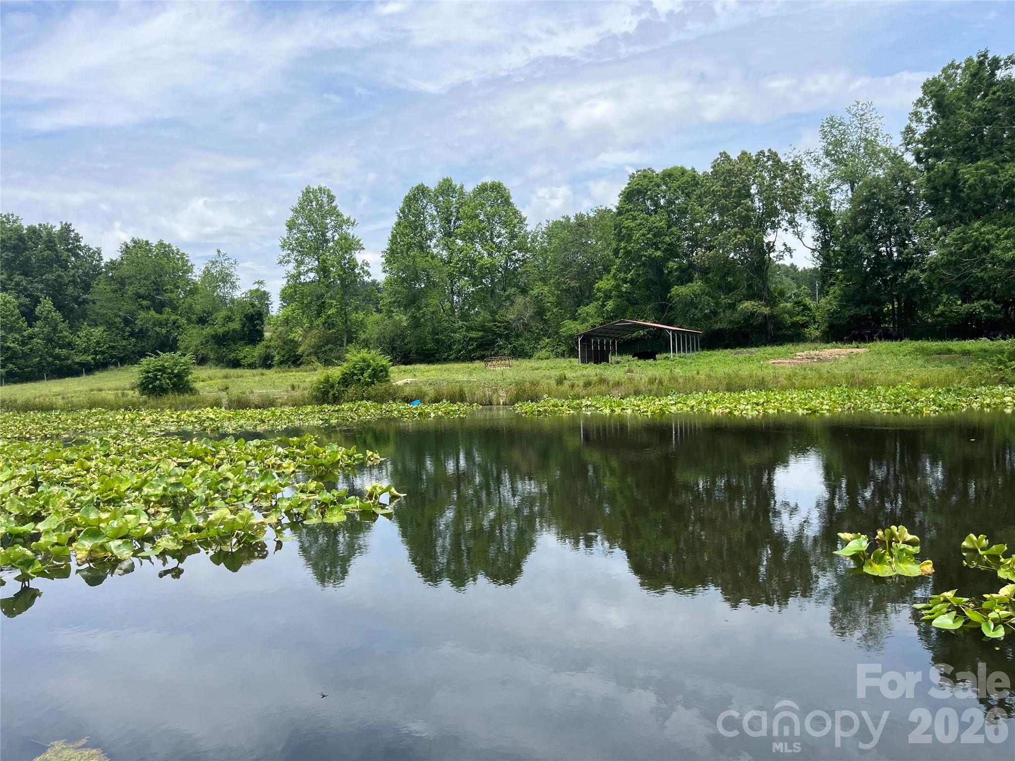 99999 Jones Road Fletcher, NC 28732 - Photo 8 of 17