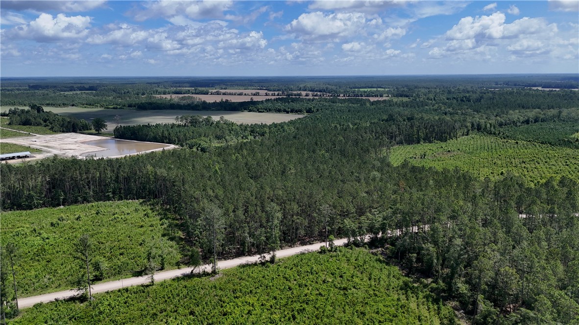 0 Bennett Mill Pond Road Odum, GA 31555 - Photo 2 of 10