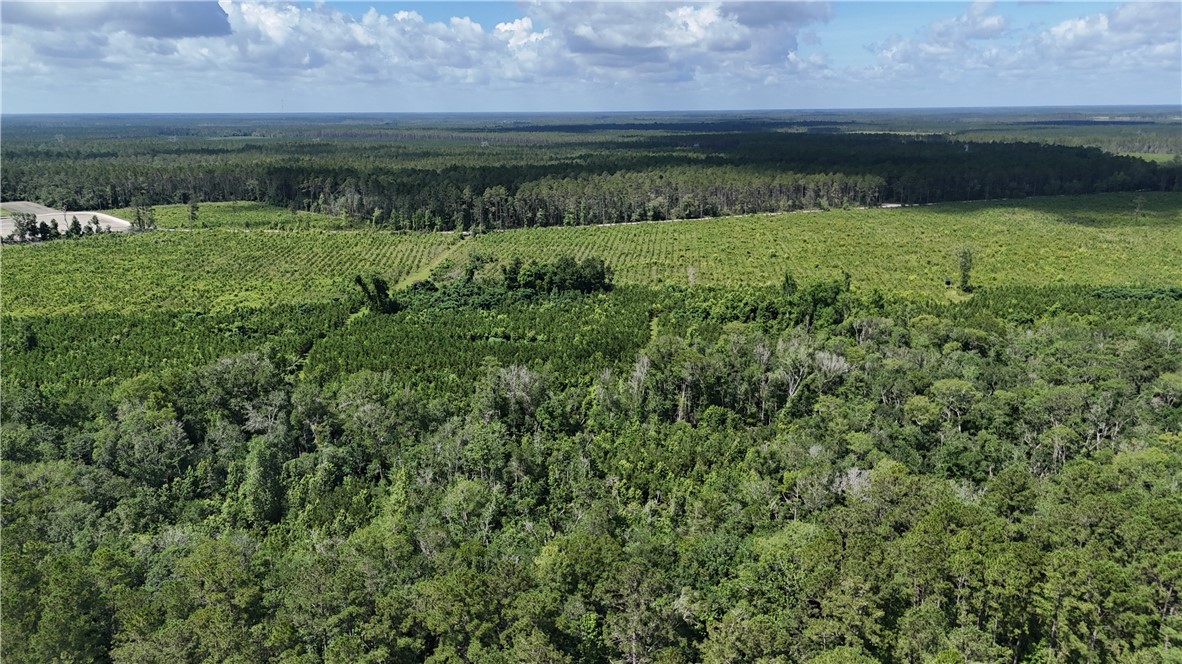 0 Bennett Mill Pond Road Odum, GA 31555 - Photo 3 of 10