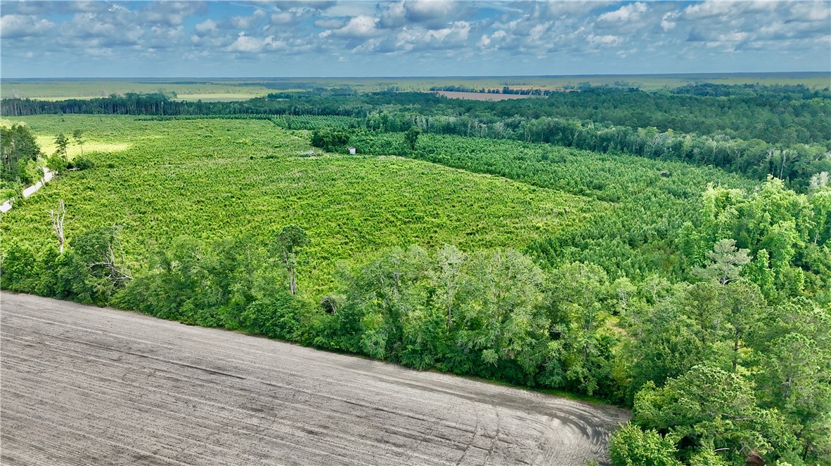 0 Bennett Mill Pond Road Odum, GA 31555 - Photo 4 of 10