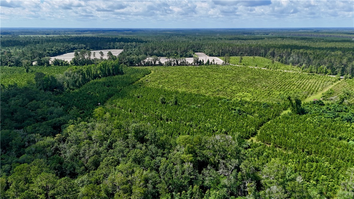 0 Bennett Mill Pond Road Odum, GA 31555 - Photo 7 of 10