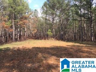 Pioneer Way, Unit 2 Sterrett, AL 35147 - Photo 14 of 24
