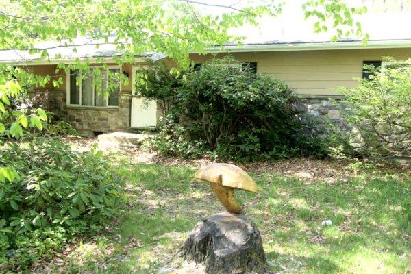 1156 Pine Tree Road Tobyhanna, PA 18466 - Photo 3 of 4 a view of a water fountain