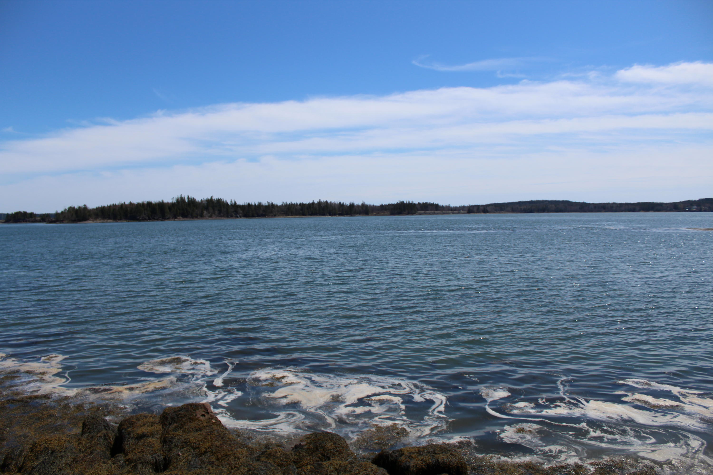 0 Old Eastport Road Perry, ME 04667 - Photo 7 of 25 IMG_3498