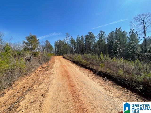 140 County Road, Unit 44 22± AC Wadley, AL 36276 - Photo 5 of 11