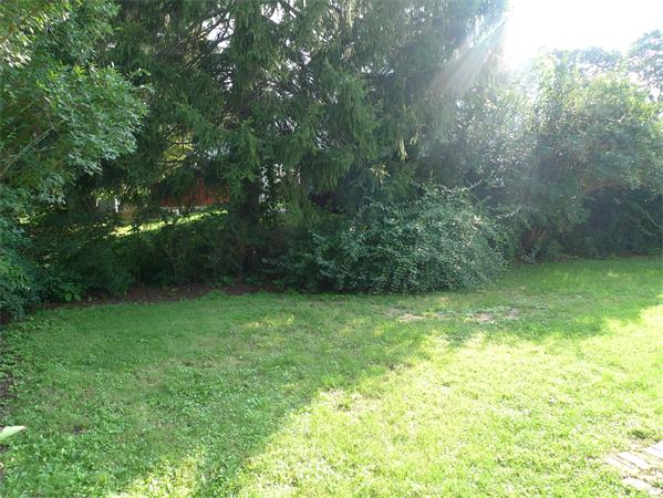 323 Appleton Street Arlington, MA 02476 - Photo 9 of 9 a view of a yard with a tree