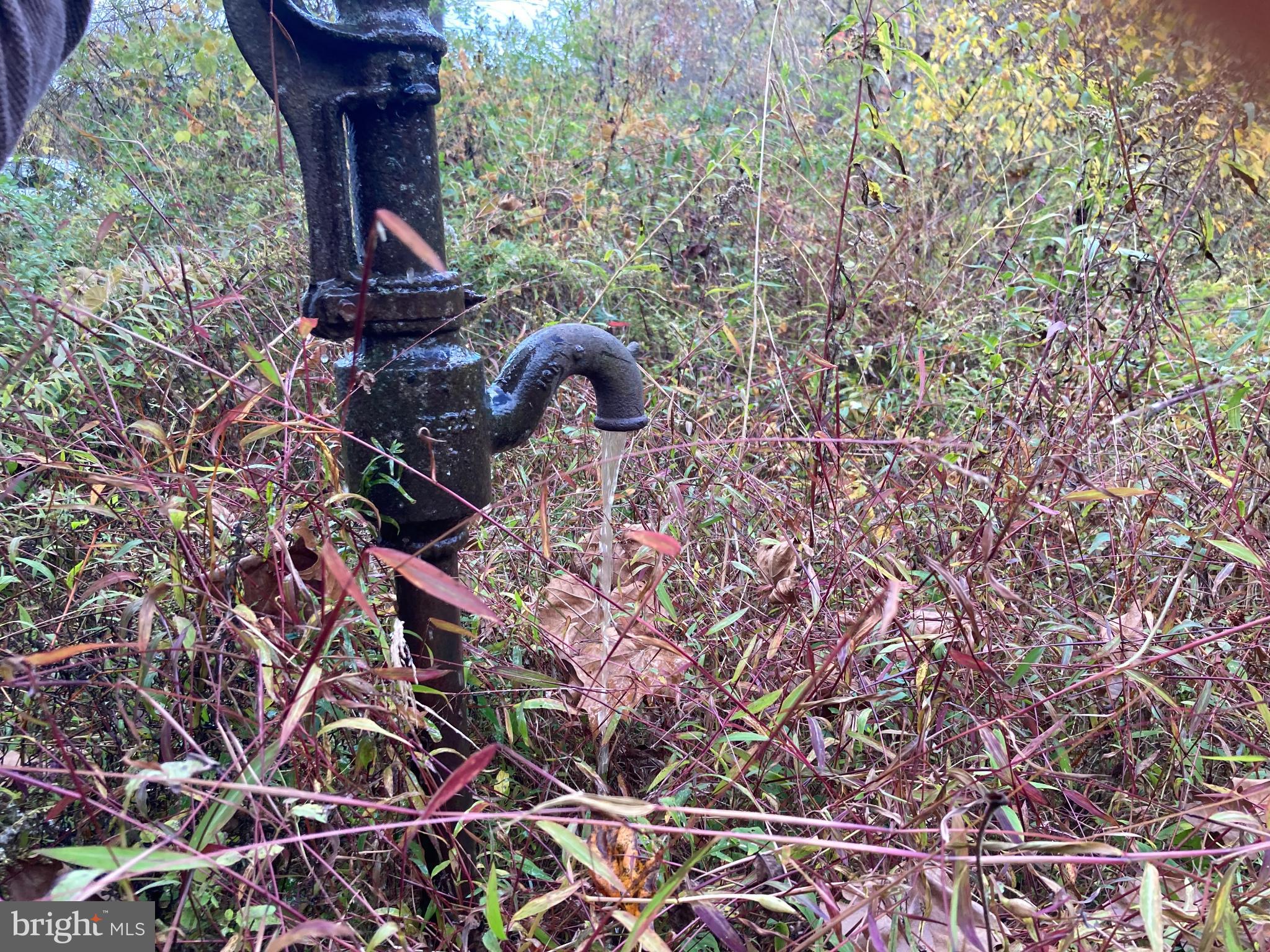 0 Creek Road Thompsontown, PA 17094 - Photo 14 of 19 Rustic water pump amidst wild foliage.