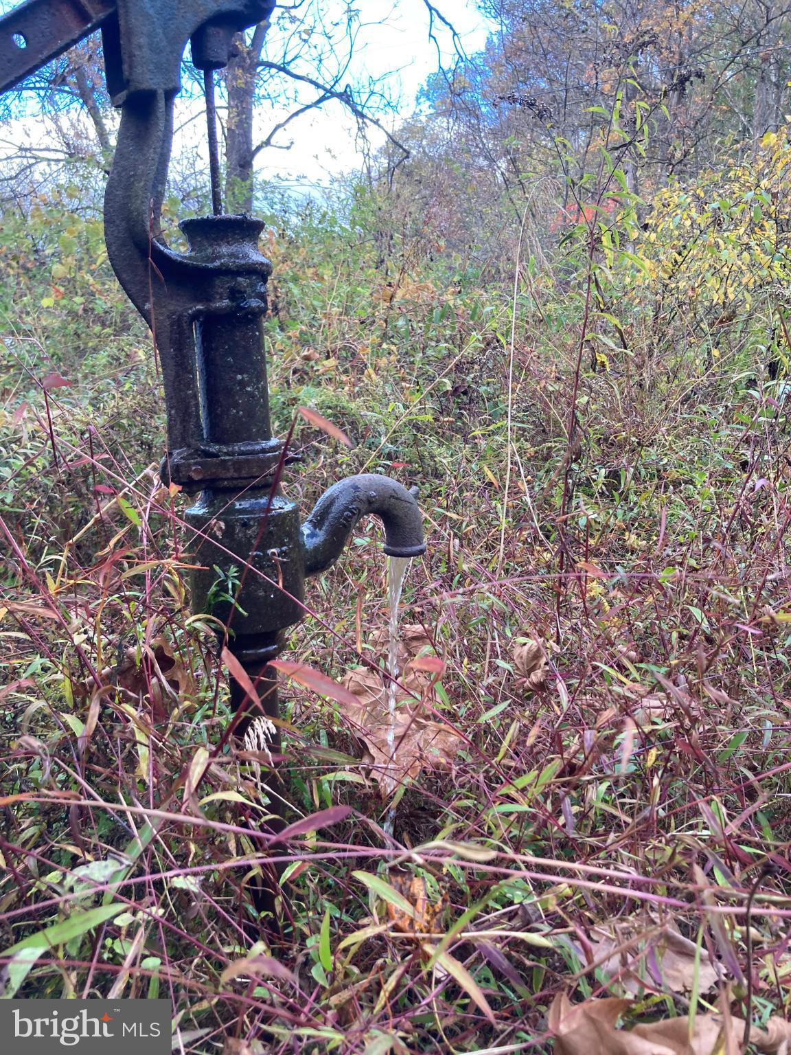 0 Creek Road Thompsontown, PA 17094 - Photo 15 of 19 Rustic water pump amidst wild foliage.