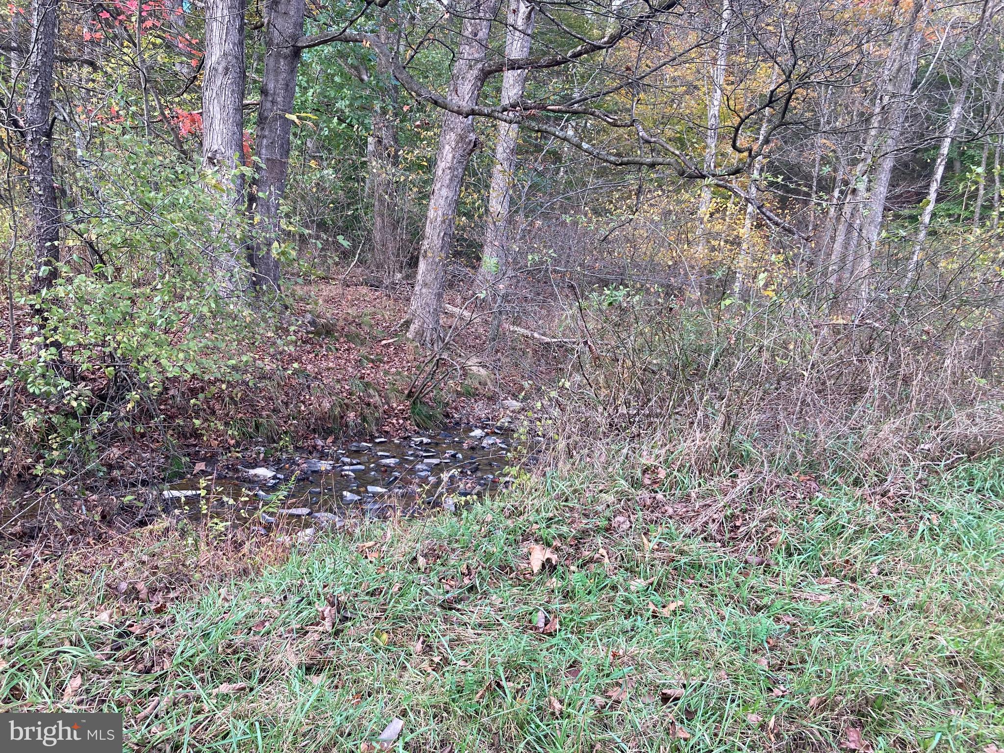 0 Creek Road Thompsontown, PA 17094 - Photo 18 of 19 Serene woodland stream in autumn hues.