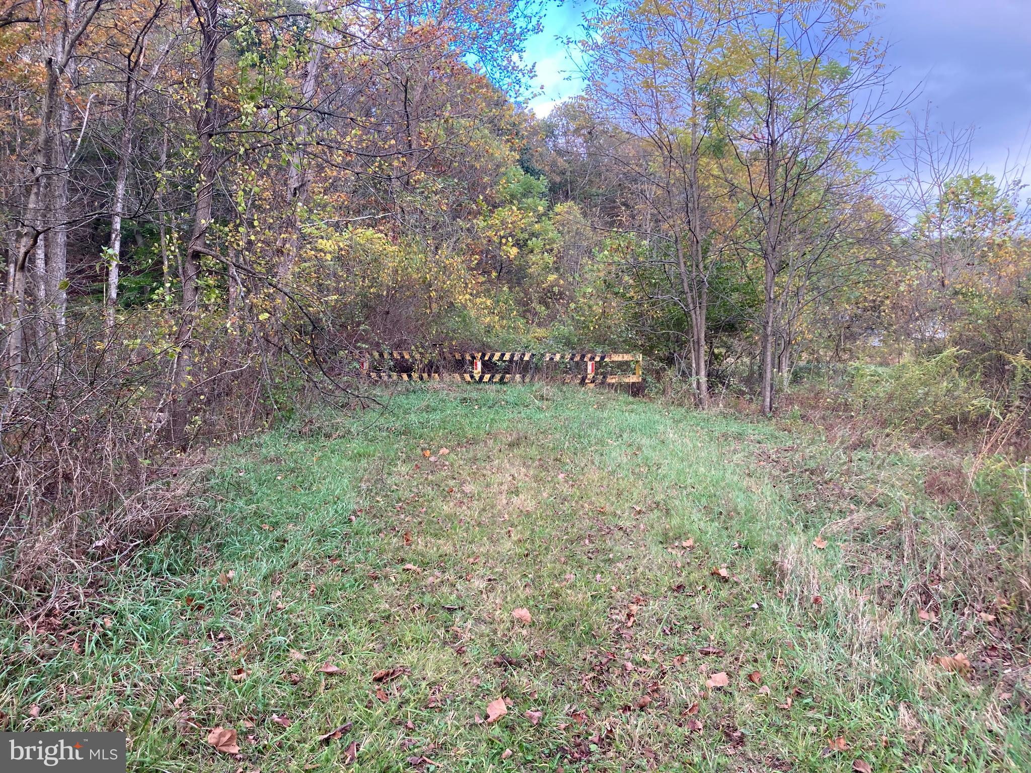 0 Creek Road Thompsontown, PA 17094 - Photo 19 of 19 Serene woodland path beckons exploration.
