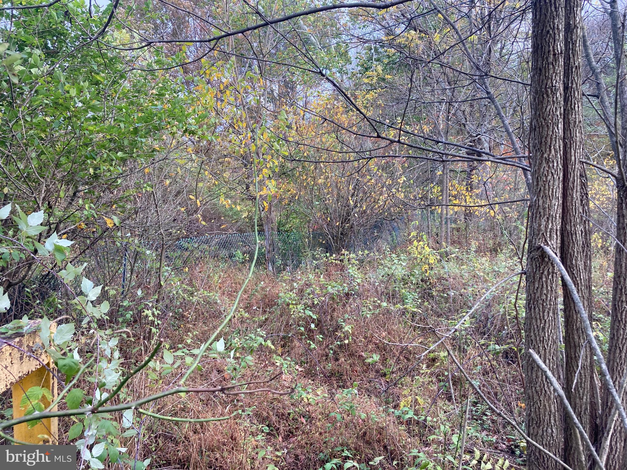 Lush foliage embraces a tranquil retreat.
