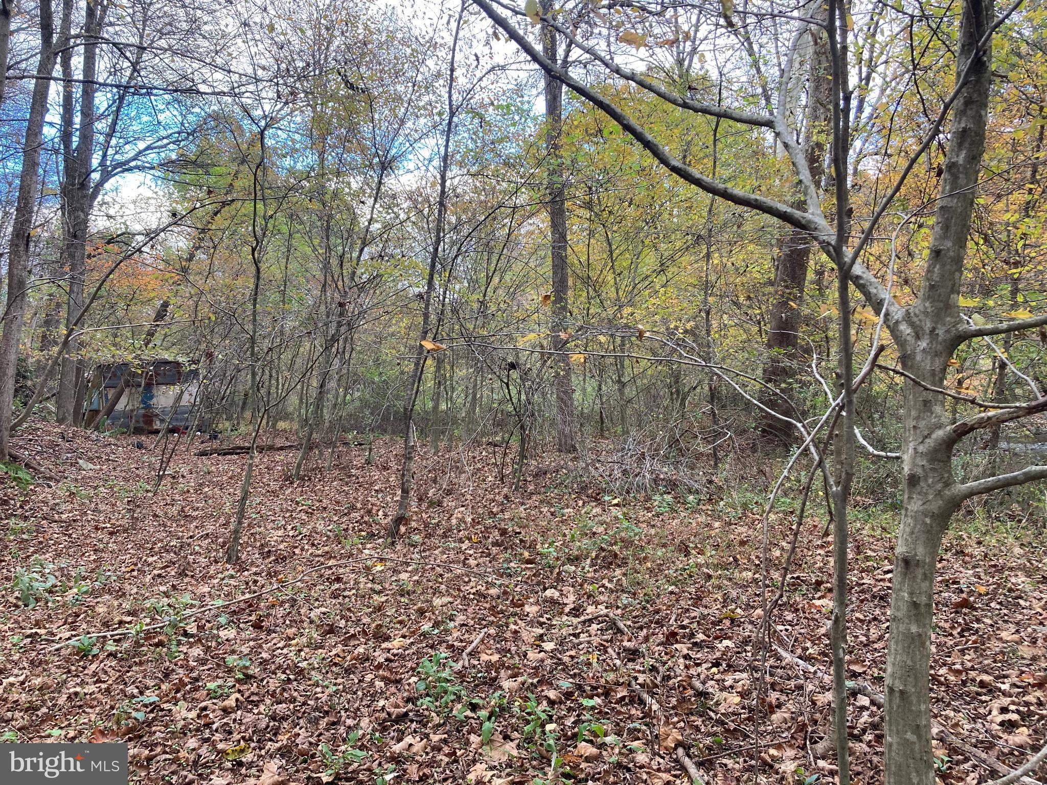 Serene woodland retreat in autumn hues.