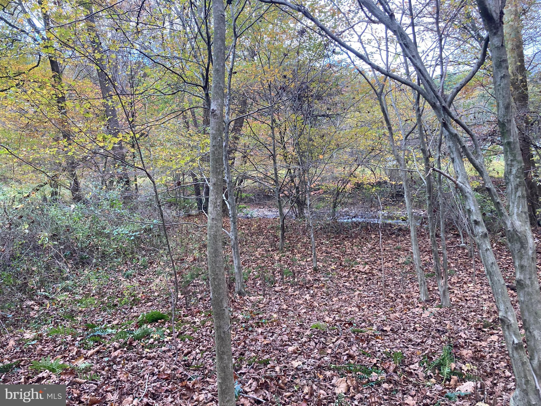 0 Creek Road Thompsontown, PA 17094 - Photo 8 of 19 Serene woodland retreat in autumn hues.