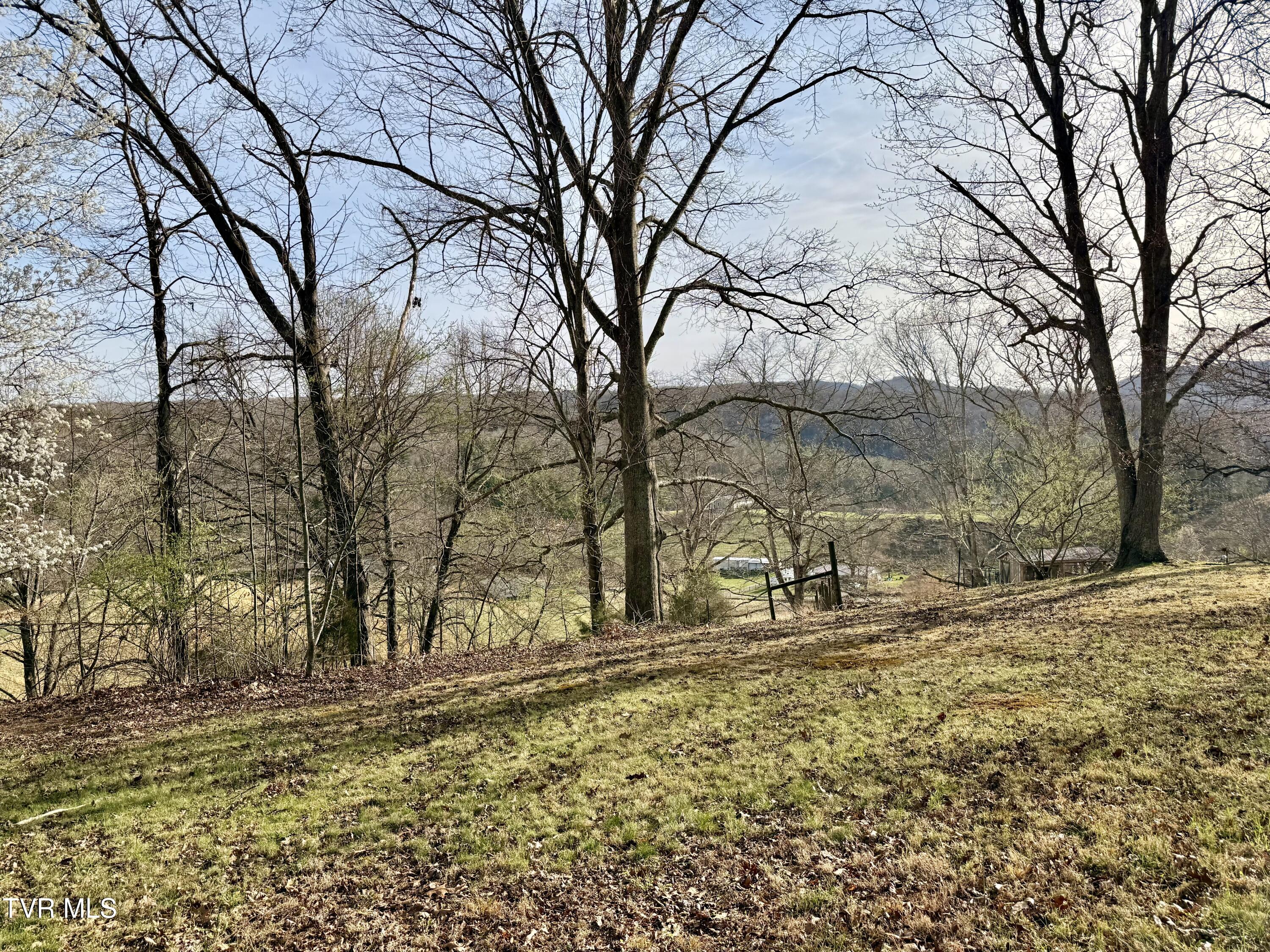 11516 Frederick Road Coeburn, VA 24230 - Photo 89 of 90 IMG_9888