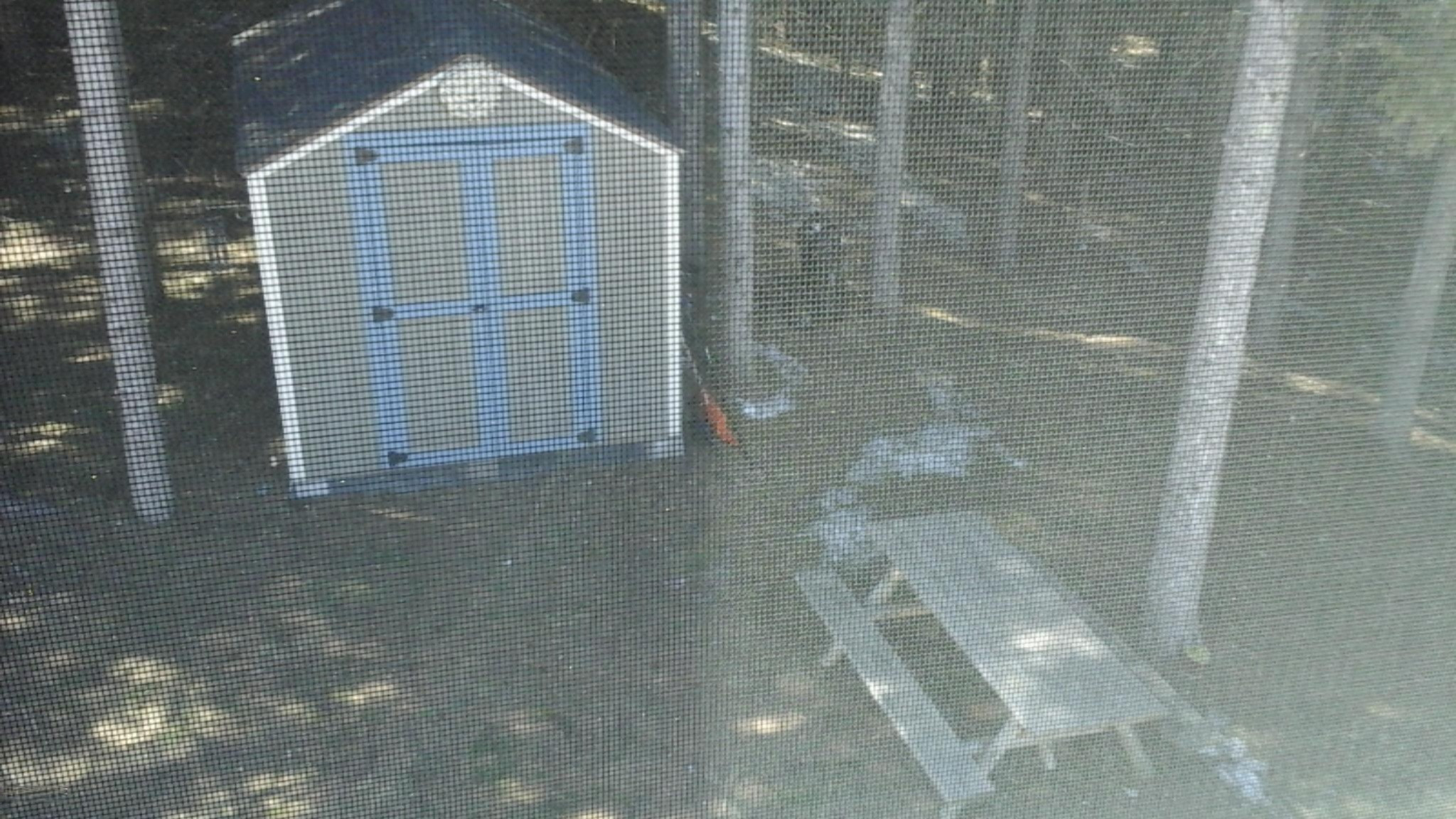 6668 Spruce Ridge Road Bear Lake, MI 49614 - Photo 47 of 51 20150318_133351.jpg