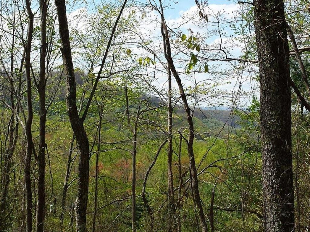 7055 Dale Branch Road Wise, VA 24293 - Photo 8 of 33 Mountain Views