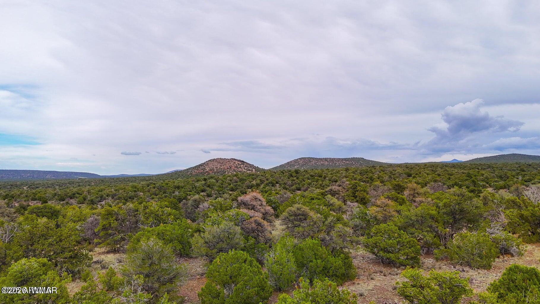 132 East Sidewinder Road Williams, AZ 86046 - Photo 2 of 14