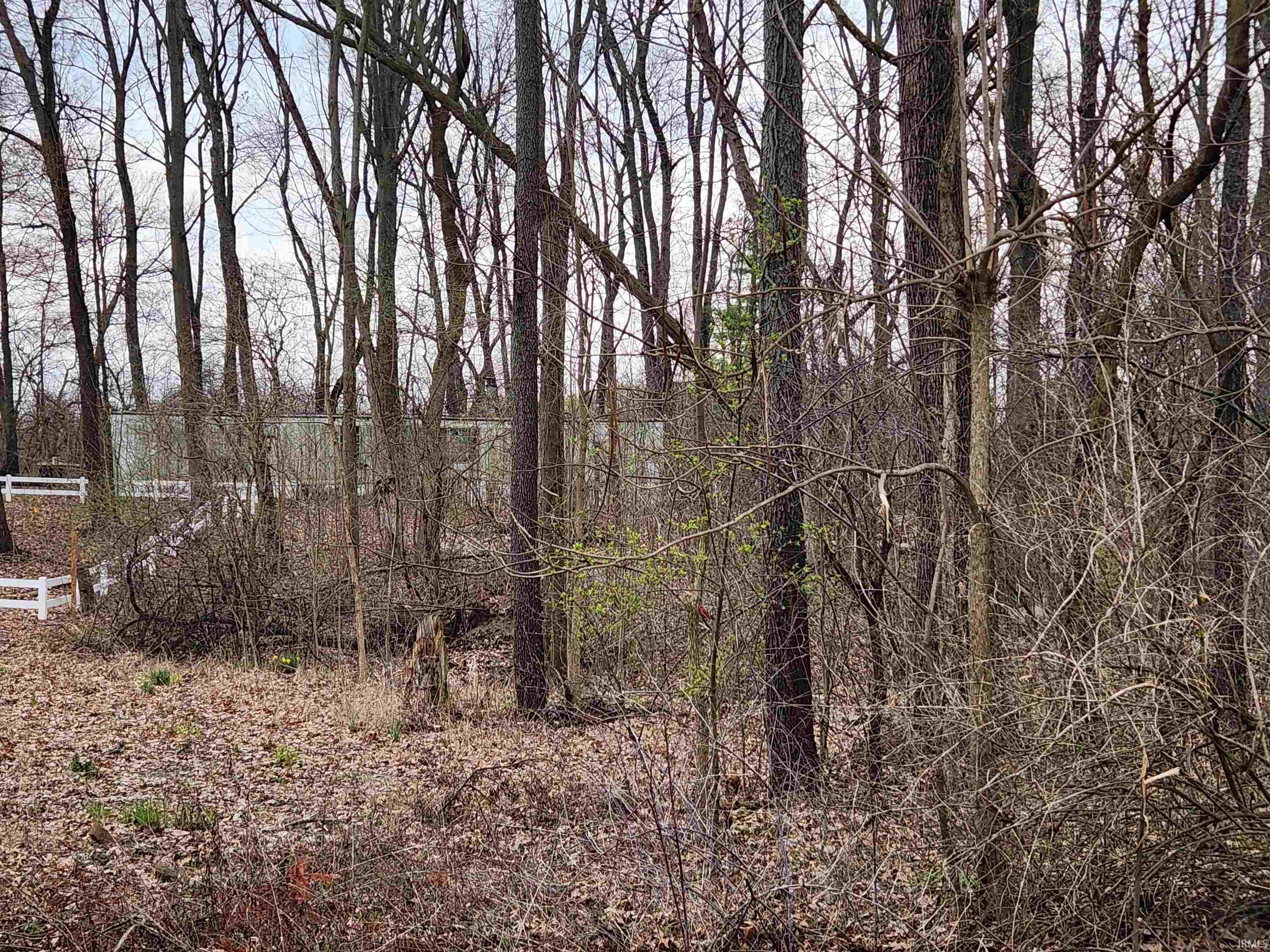 856 Lions Drive Rome City, IN 46784 - Photo 4 of 5