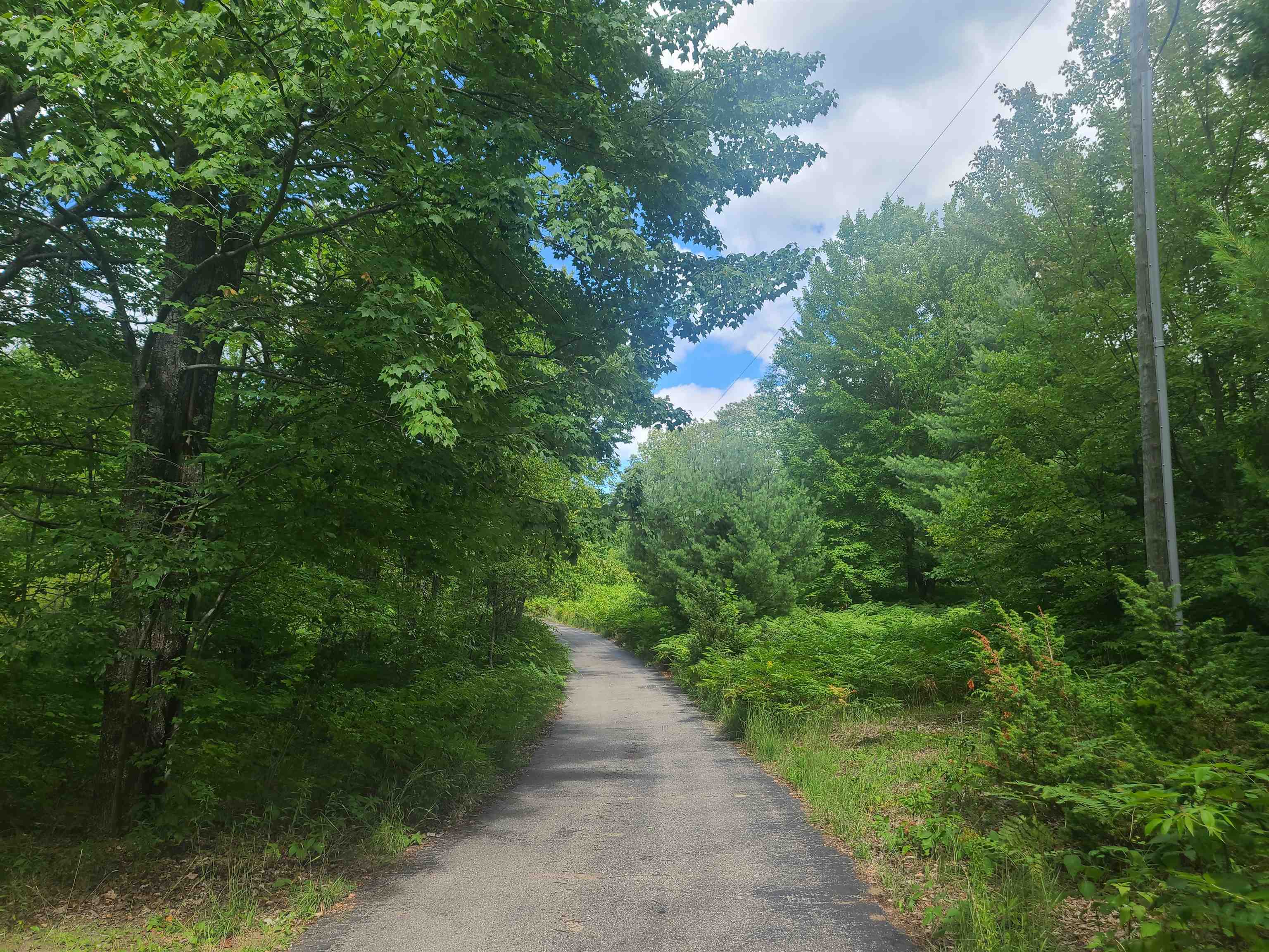 7285 Creighton Road Southwest South Boardman, MI 49680 - Photo 9 of 20 1903944-8.JPG