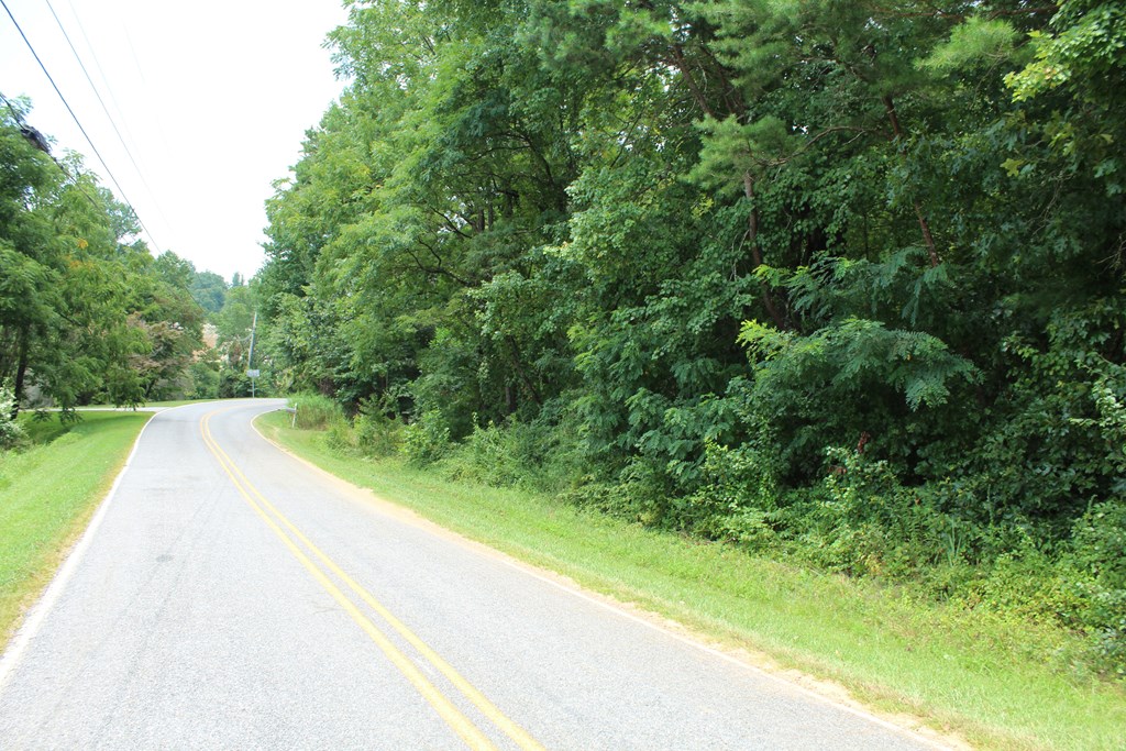 0 Swaims Road Hayesville, NC 28904 - Photo 2 of 13 Gallery Image 2