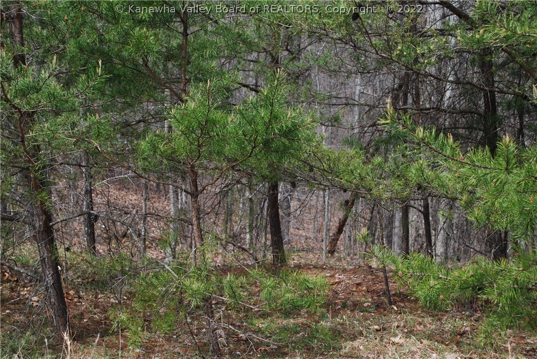 0 Mount Olive Road Milton, WV 25541 - Photo 8 of 17 Gallery Image 8