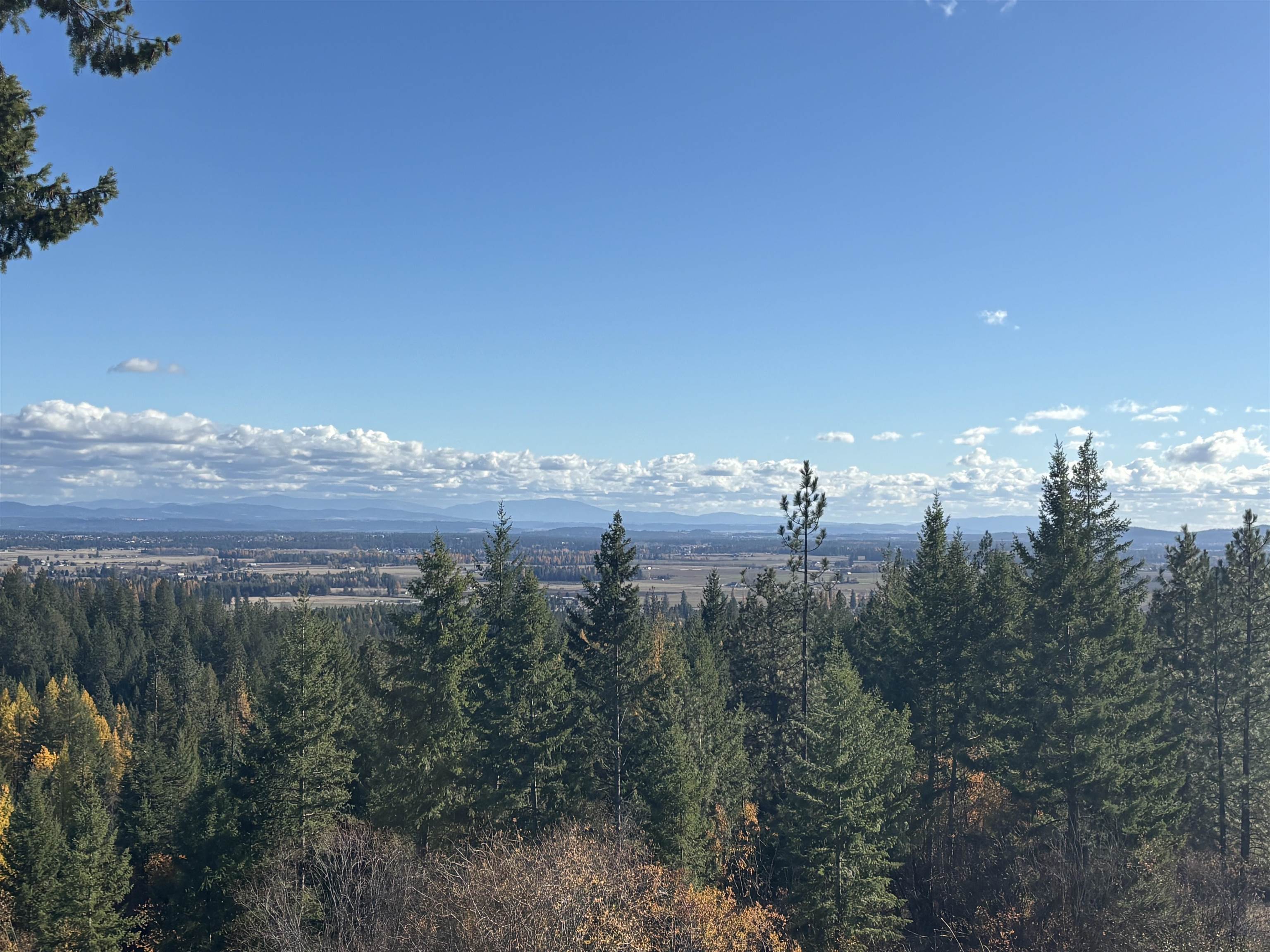 4746 Furzee Road Clayton, WA 99110 - Photo 4 of 50