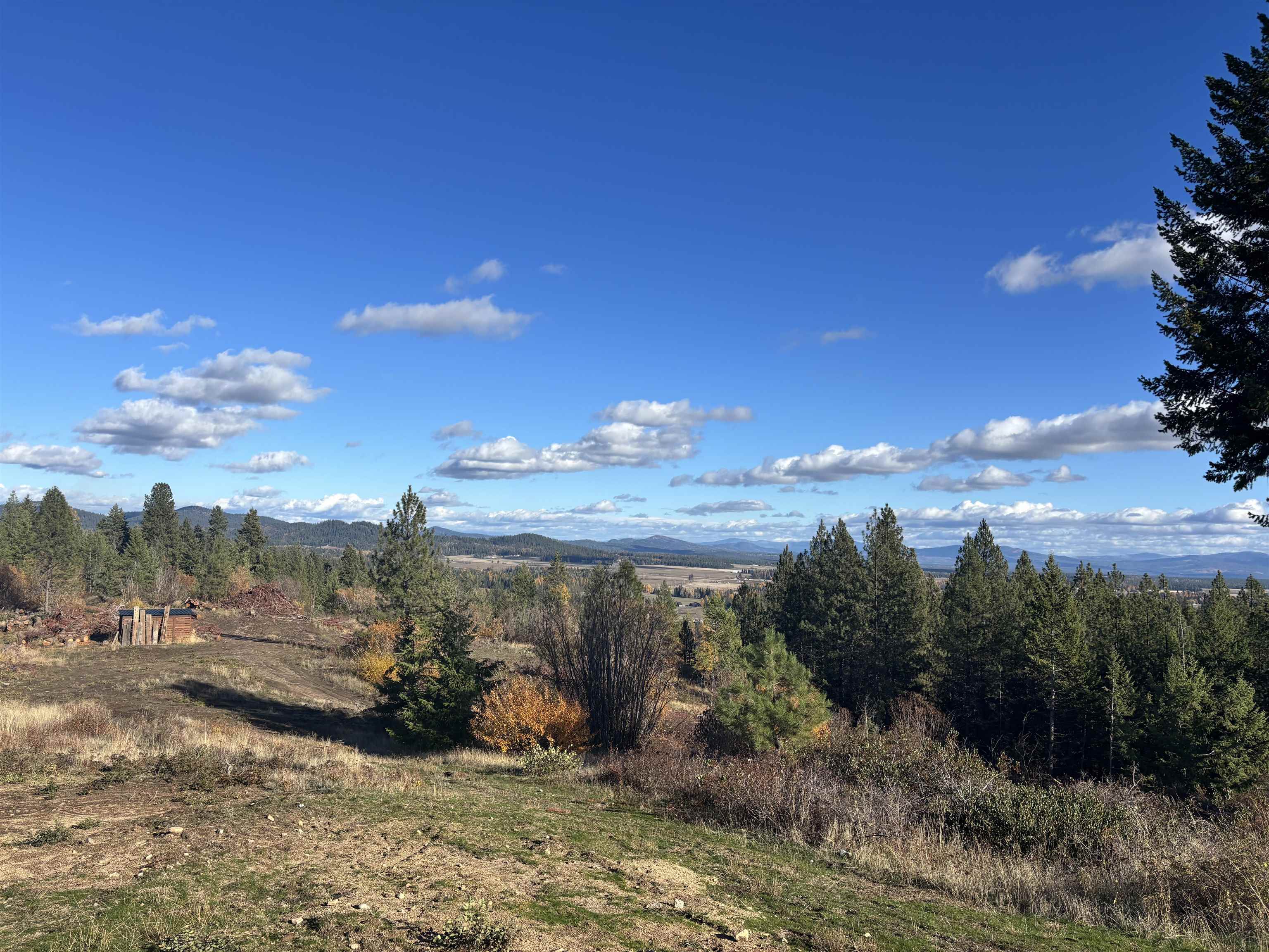 4746 Furzee Road Clayton, WA 99110 - Photo 43 of 50