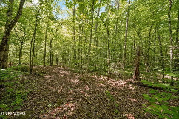 $175,000 | 1322 East Millers Cove Road, Walland, TN 37886