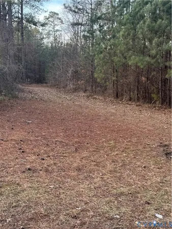 a view of a backyard with trees