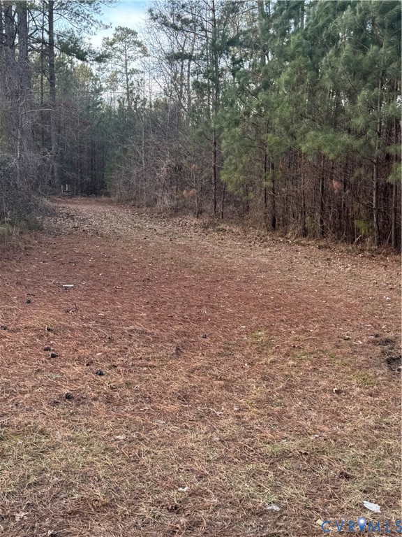 a view of a backyard with trees