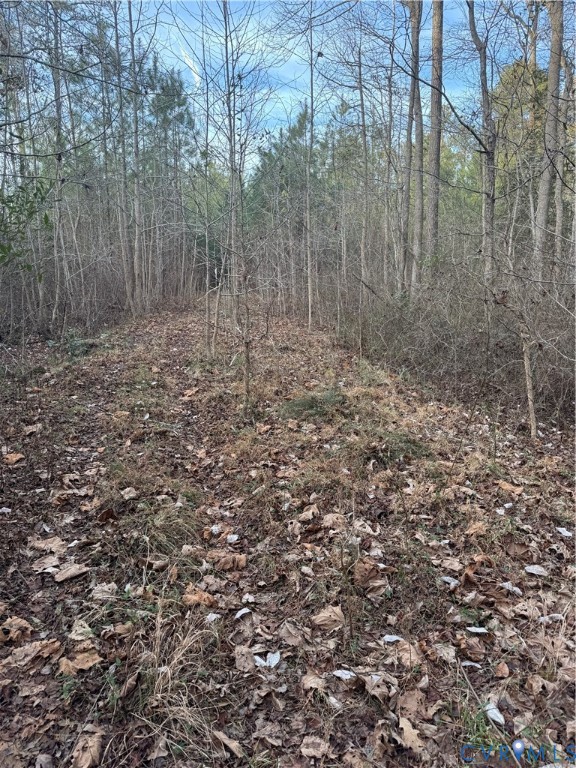 0 North Courthouse Road Waverly, VA 23890 - Photo 3 of 7
