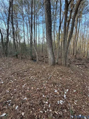 $45,000 | 0 North Courthouse Road, Waverly, VA 23890