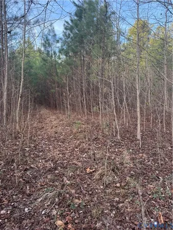 a view of road and trees