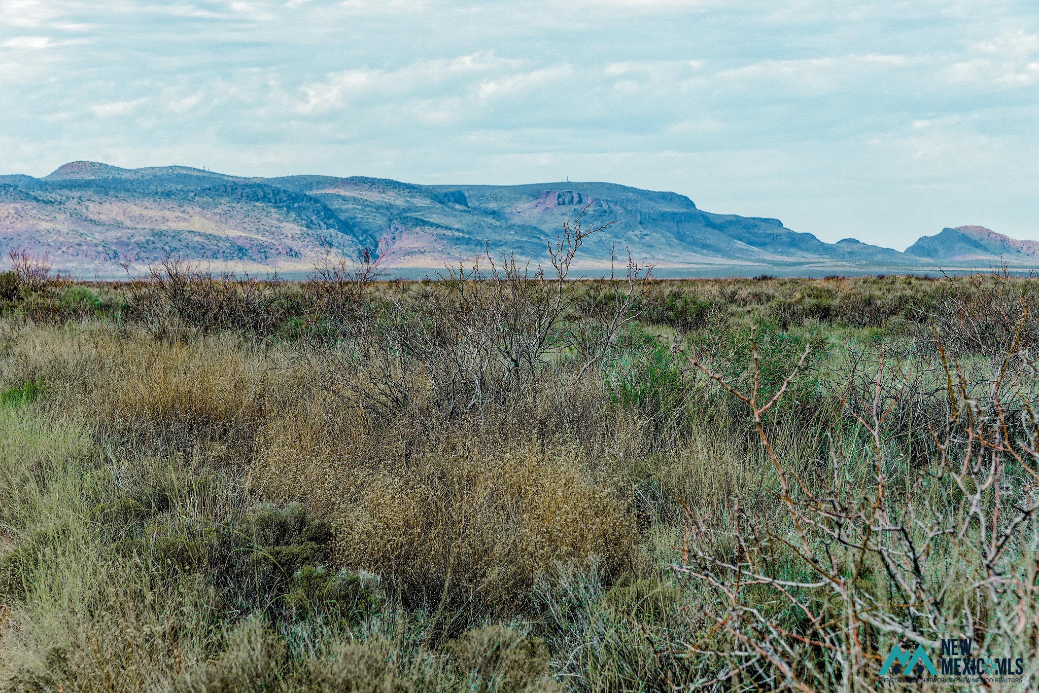 6 Monte Vista Road Southwest Deming, NM 88030 - Photo 11 of 25 Gallery Image 11