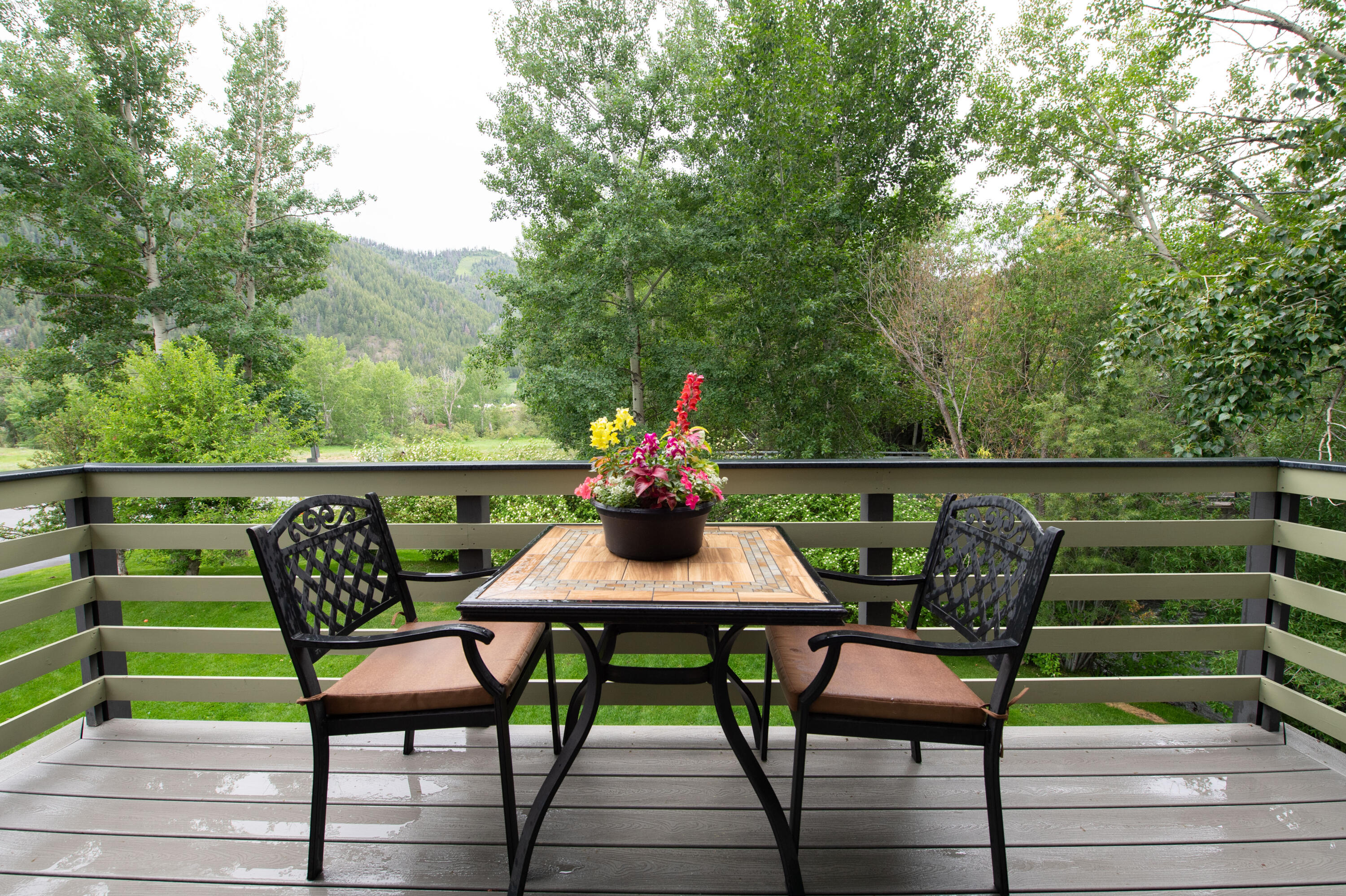 600 South 2nd Avenue, Unit A1 Ketchum, ID 83340 - Photo 1 of 1 Expanded Deck