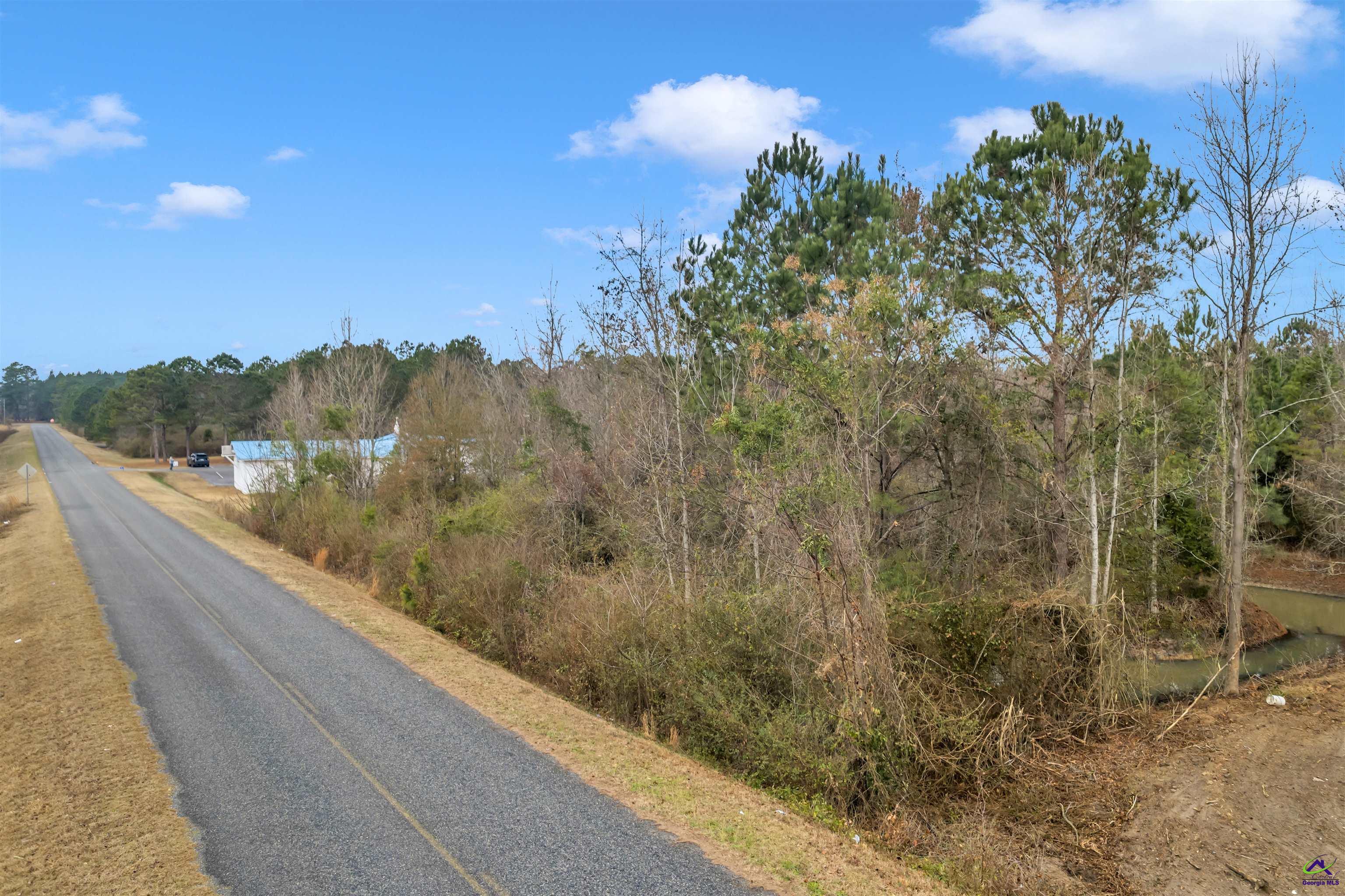 0 Mt Calvery Church Road Pineview, GA 31071 - Photo 9 of 10