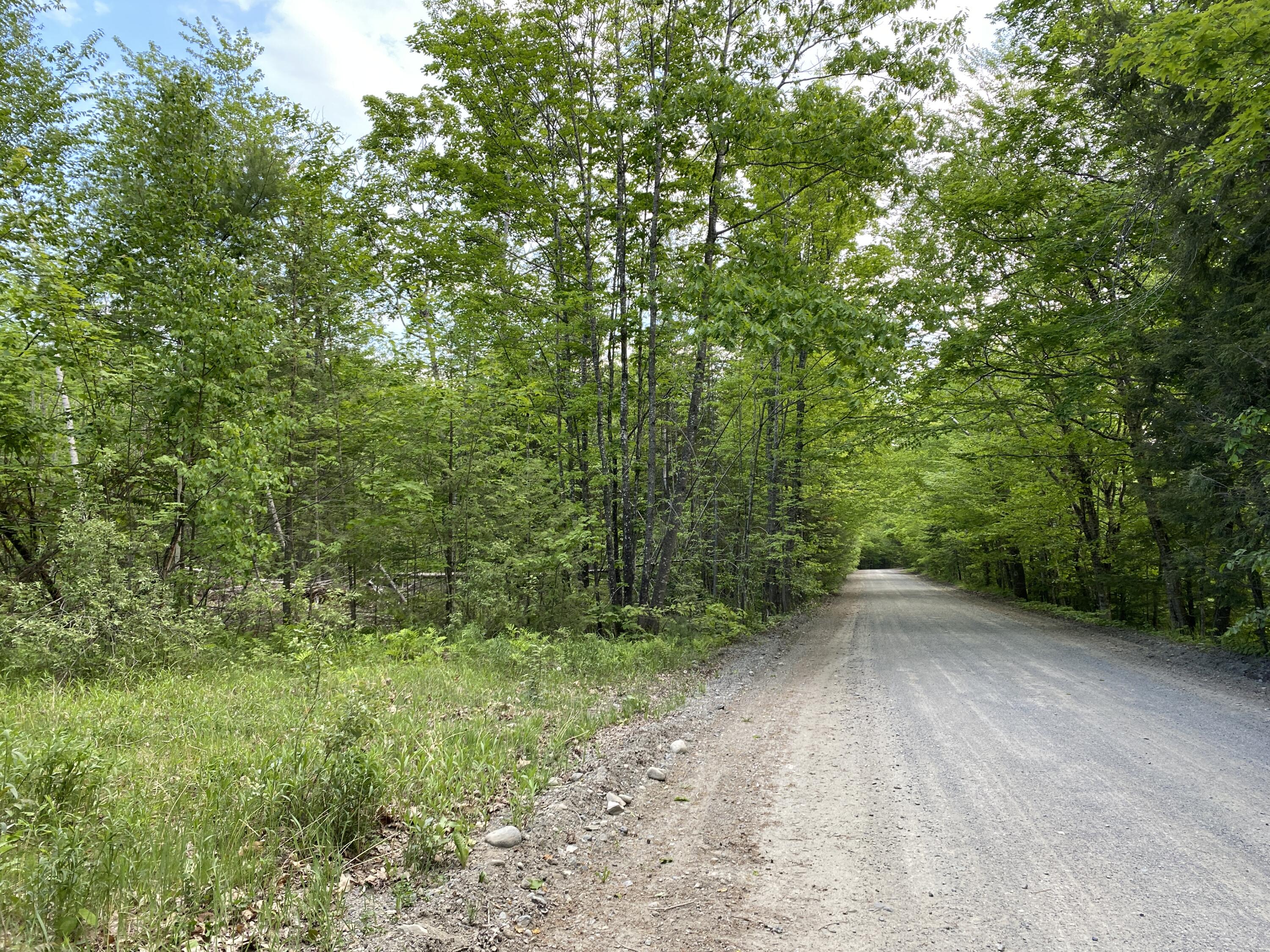 Lot A Dead Water Road Moscow, ME 04920 - Photo 2 of 8 IMG_1362