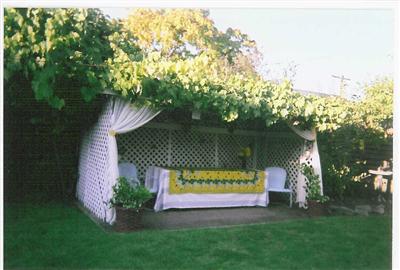 904 Beaver Street Santa Rosa, CA 95404 - Photo 3 of 9 Back yard gazebo for outdoor dining.