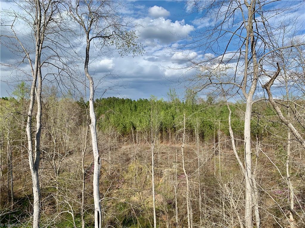1524 Hampton Road Germanton, NC 27019 - Photo 11 of 24