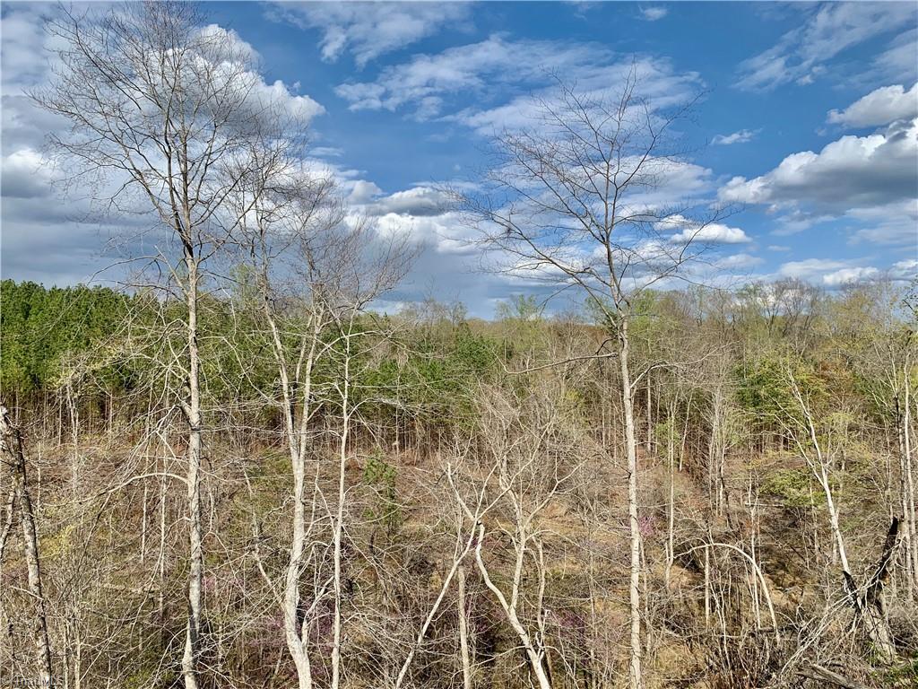 1524 Hampton Road Germanton, NC 27019 - Photo 8 of 24