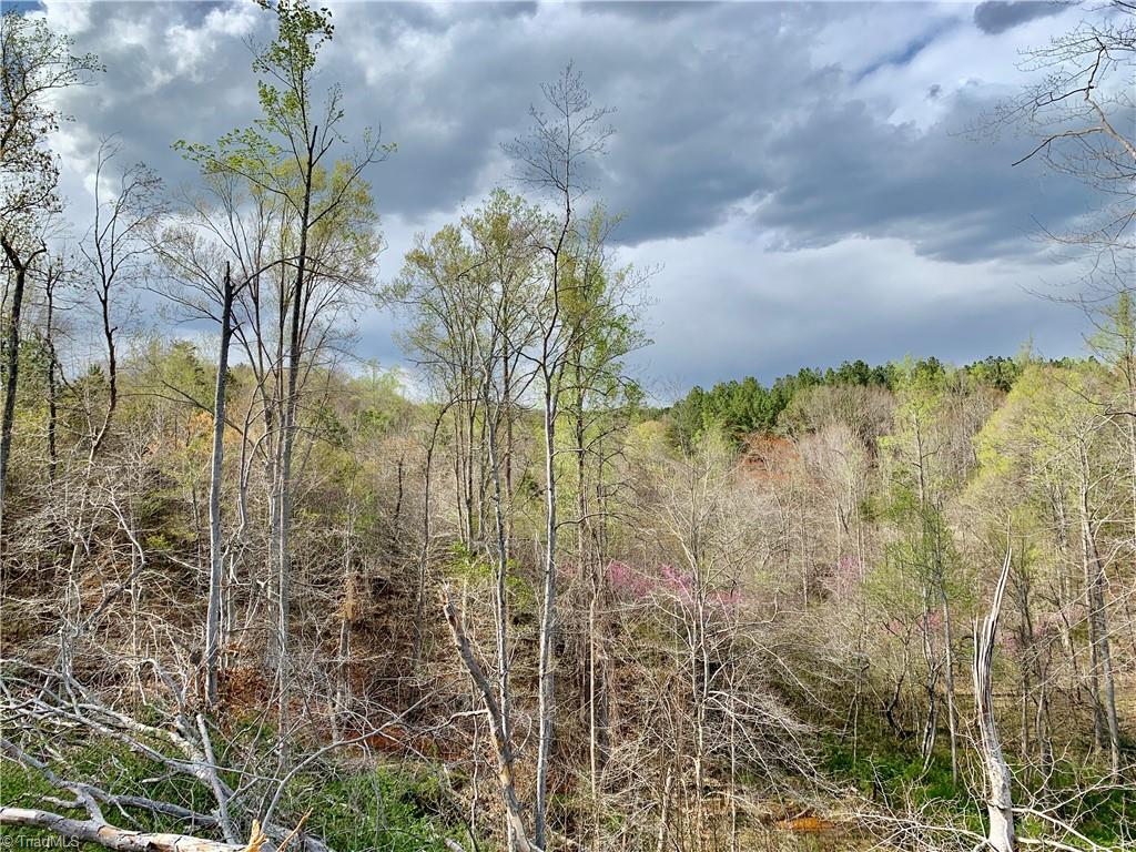 1524 Hampton Road Germanton, NC 27019 - Photo 9 of 24