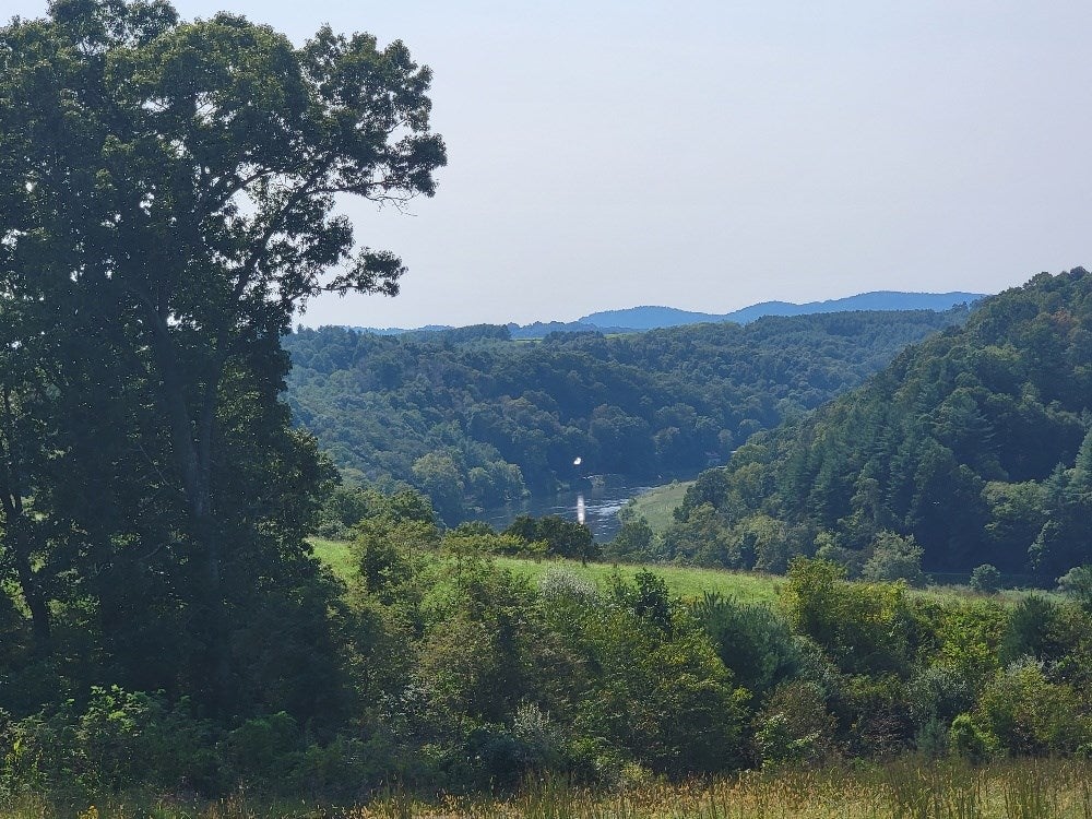 11 Moxley Ridge Road, Unit LOT #11 Sparta, NC 28675 - Photo 40 of 43 Gallery Image 40