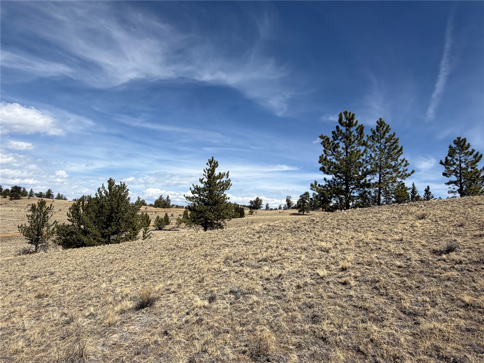 2839 Fitzsimmons Road Hartsel, CO 80449 - Photo 11 of 25 Gallery Image 11