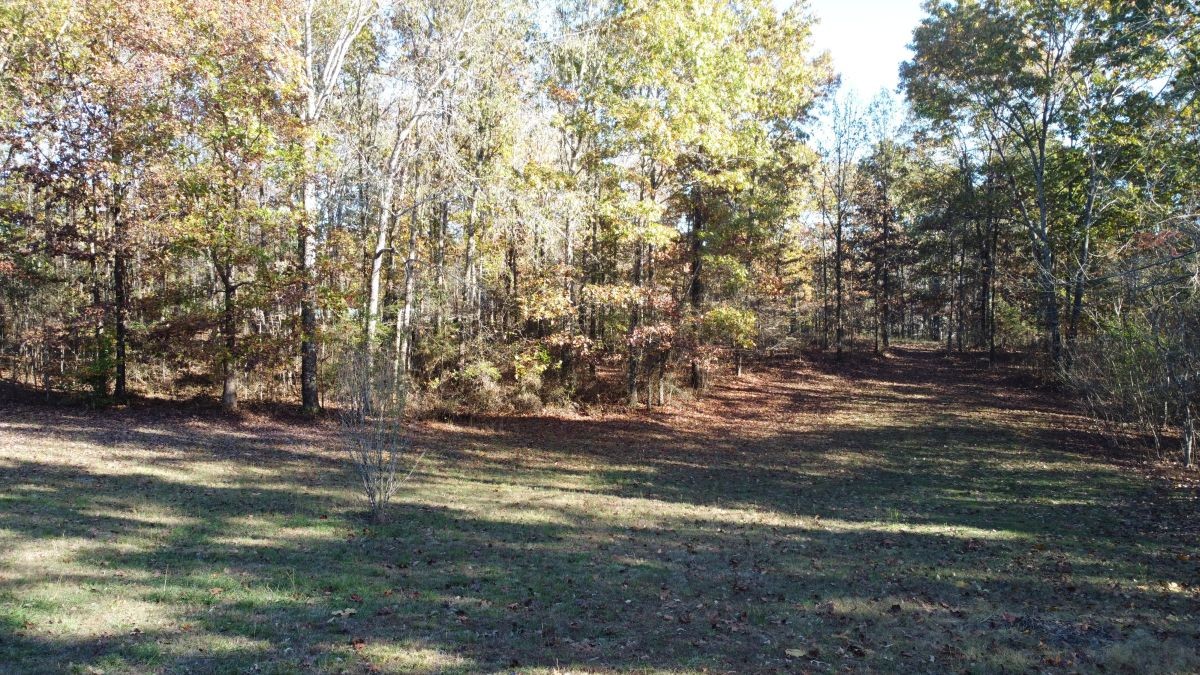 8062 Frame Hollow Road Nunnelly, TN 37137 - Photo 7 of 47