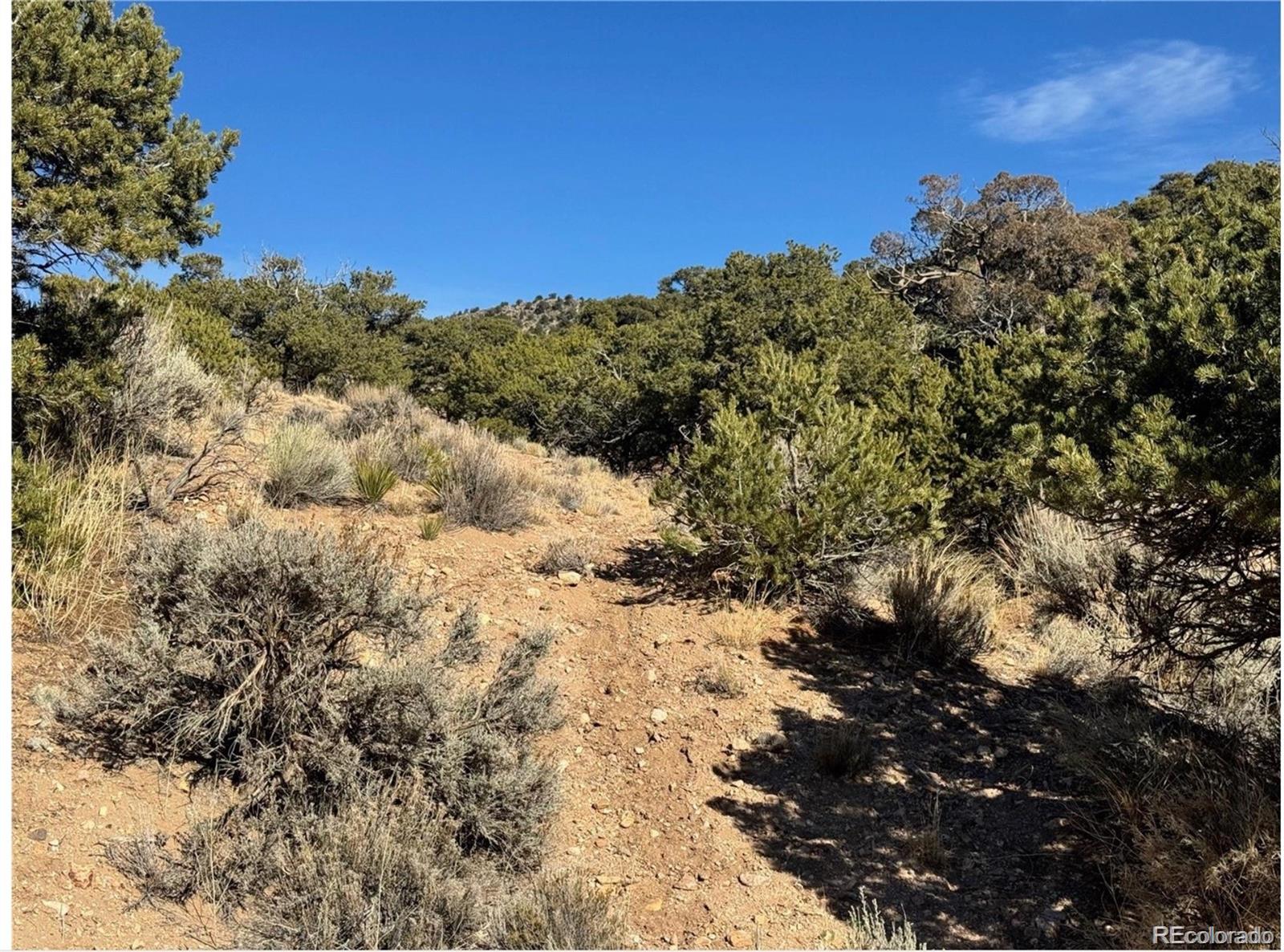 Lot 2446 Zuni Road Fort Garland, CO 81133 - Photo 10 of 15 Gallery Image 10