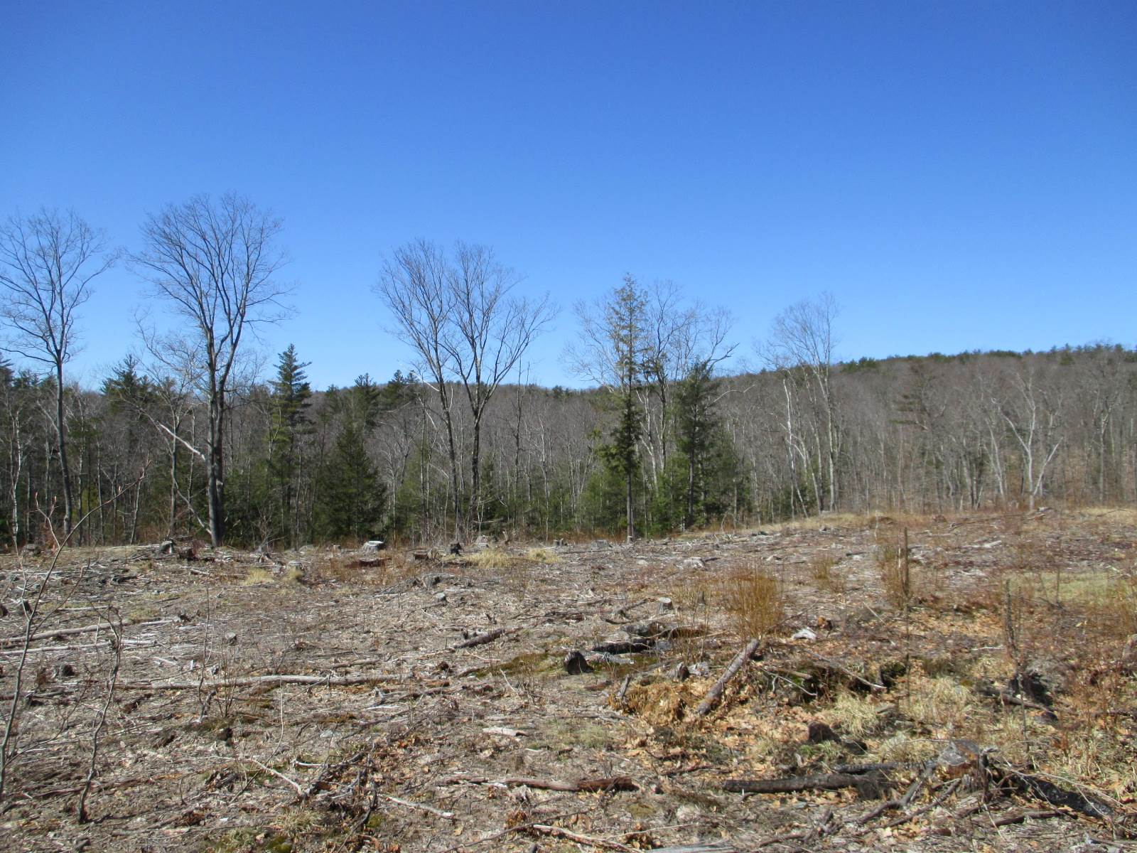 Lot 83-a2 Lot 83-a2 Farm Road Keene, NH 03431 - Photo 1 of 7