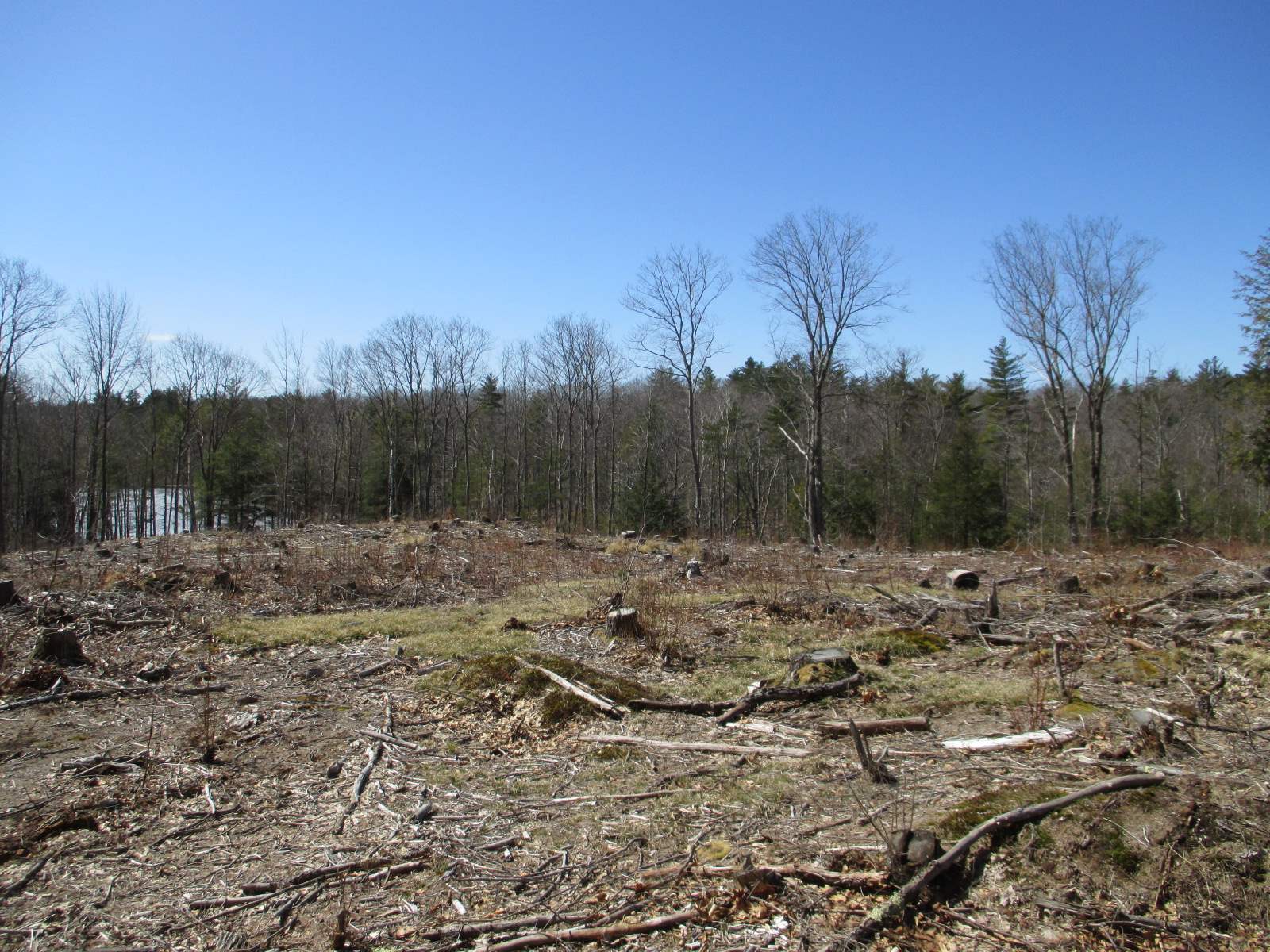 Lot 83-a2 Lot 83-a2 Farm Road Keene, NH 03431 - Photo 2 of 7