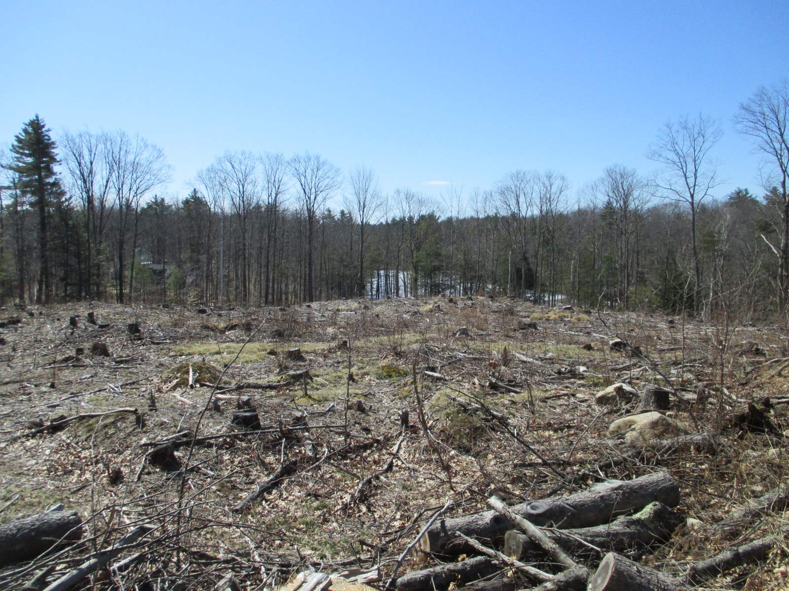 Lot 83-a2 Lot 83-a2 Farm Road Keene, NH 03431 - Photo 3 of 7