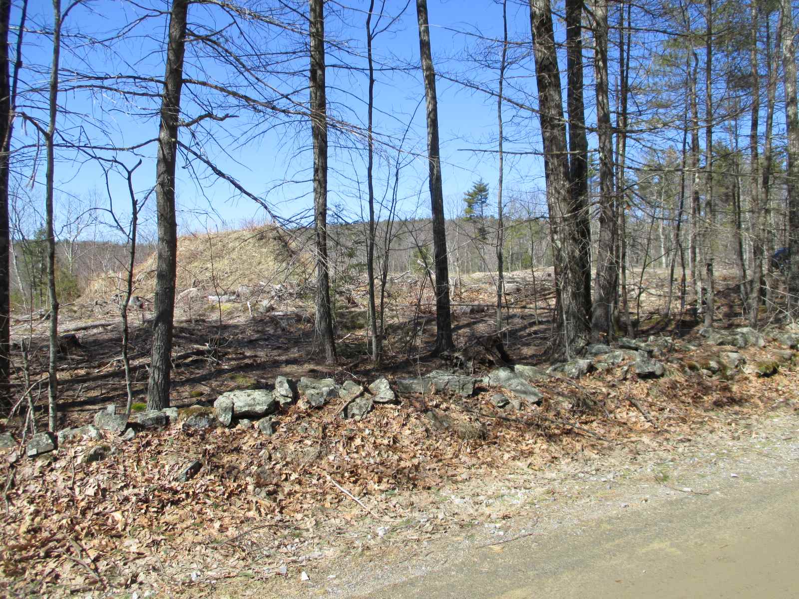 Lot 83-a2 Lot 83-a2 Farm Road Keene, NH 03431 - Photo 5 of 7