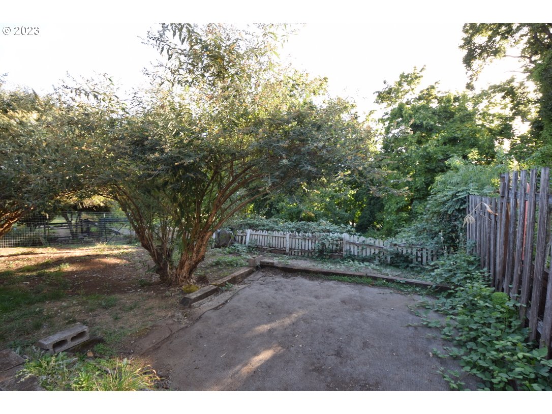 304 Southeast Boulevard Way Estacada, OR 97023 - Photo 15 of 15 a view of a yard with large trees